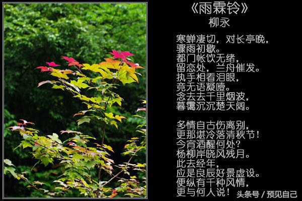 小楼一夜听春雨的下半句是什么,小楼一夜听春雨什么意思