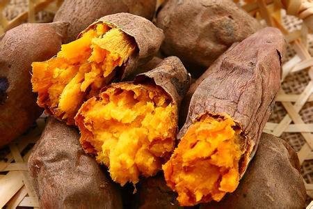 白富美养成记游戏,白富美养成手册