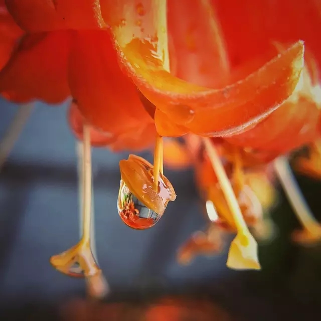 <html>
<head><title>502BadGateway</title></head>
<body>
<center><h1>502BadGateway</h1></center>
<hr><center>nginx</center>
</body>
</html>
<!--apaddingtodisableMSIEandChromefriendlyerrorpage-->
<!--apaddingtodisableMSIEandChromefriendlyerrorpage-->
<!--apaddingtodisableMSIEandChromefriendlyerrorpage-->
<!--apaddingtodisableMSIEandChromefriendlyerrorpage-->
<!--apaddingtodisableMSIEandChromefriendlyerrorpage-->
<!--apaddingtodisableMSIEandChromefriendlyerrorpage-->
