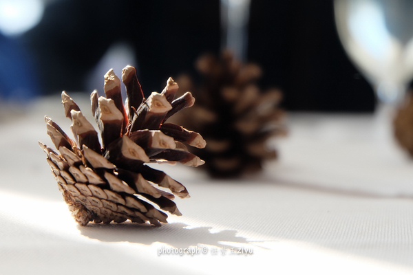 冬日的浪漫游山玩水泡温泉,又可以看雪又可以泡温泉的地方