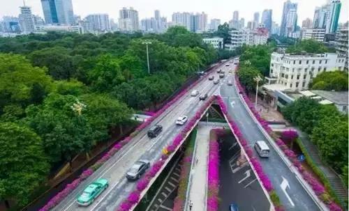 俯瞰广州最美的视角,上帝的视角看地球简直美爆了