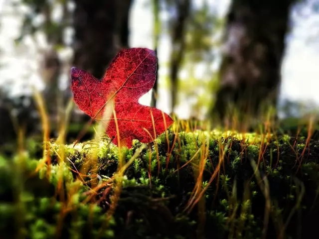 <html>
<head><title>502BadGateway</title></head>
<body>
<center><h1>502BadGateway</h1></center>
<hr><center>nginx</center>
</body>
</html>
<!--apaddingtodisableMSIEandChromefriendlyerrorpage-->
<!--apaddingtodisableMSIEandChromefriendlyerrorpage-->
<!--apaddingtodisableMSIEandChromefriendlyerrorpage-->
<!--apaddingtodisableMSIEandChromefriendlyerrorpage-->
<!--apaddingtodisableMSIEandChromefriendlyerrorpage-->
<!--apaddingtodisableMSIEandChromefriendlyerrorpage-->
