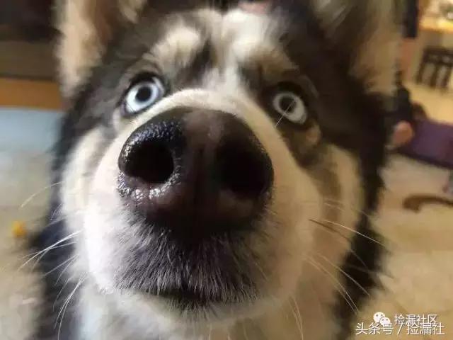 斐讯k3和ax3000哪个好,斐讯k3和华硕ac68u