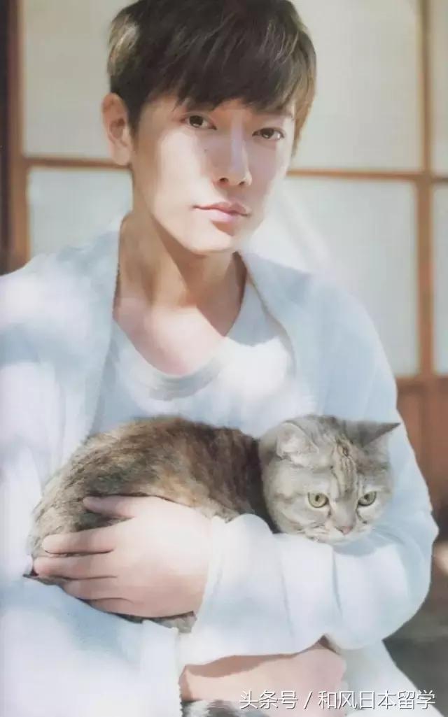 佐藤健生活中究竟是个什么样的人,佐藤健被评为最想拥有的容貌之一