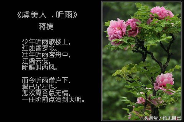 小楼一夜听春雨的下半句是什么,小楼一夜听春雨什么意思