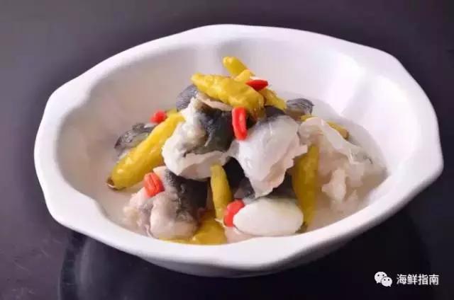 又到吃河鲀的时候了！河鲀起春岸，诱惑正当时