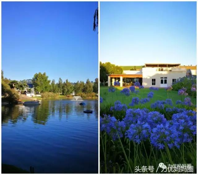 麻麻，为什么不能带我去非洲！