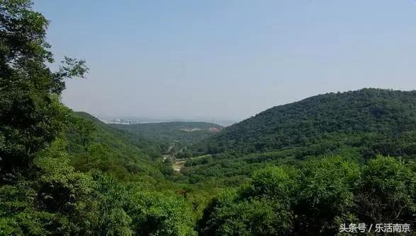 免费公园南京,南京十大公园排行榜