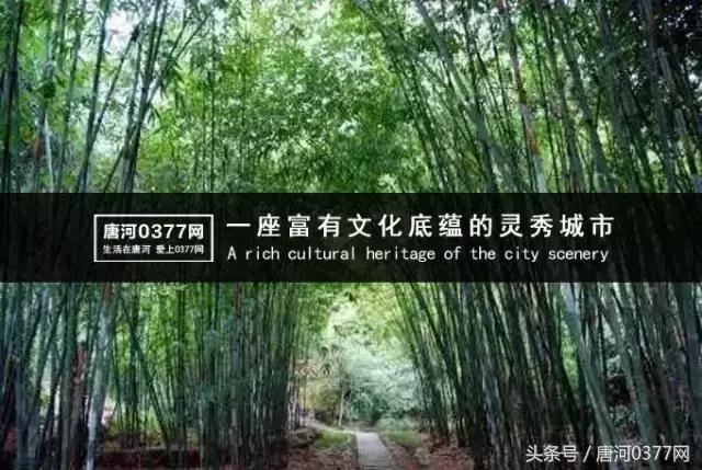 唐河，你就是一个P？