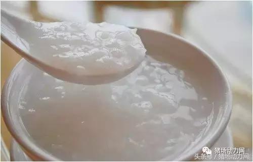 猪病毒性腹泻与流行性腹泻的区别,流行性猪腹泻