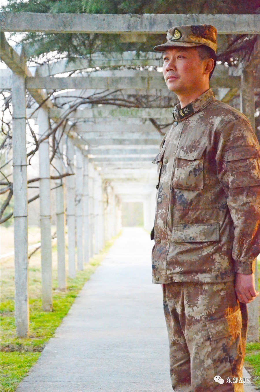 临走了，才发现这绿色军营是世外桃源……