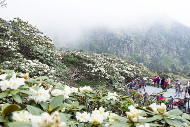 云南省什么地方风景区最好,云南生态环境最好的地方