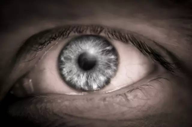 现场直播！青光眼专家呼吁：像保护生命一样保护视力