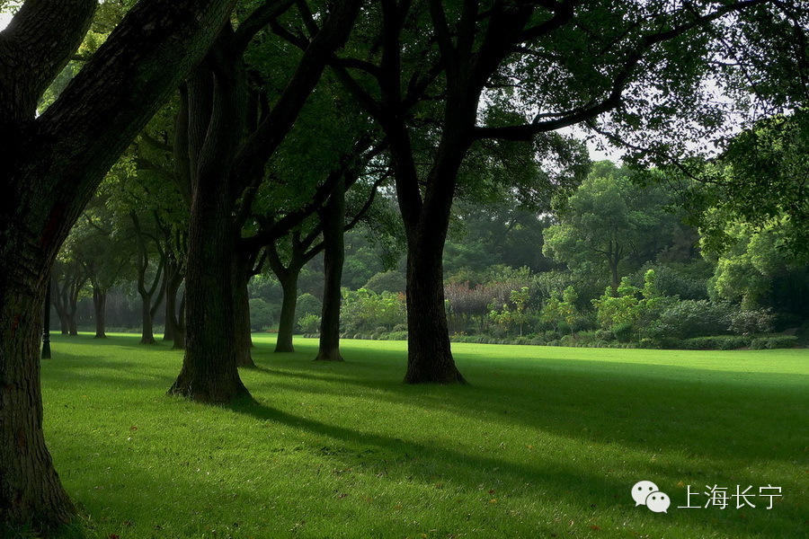 西郊宾馆环境介绍,西郊宾馆的历史了解一下