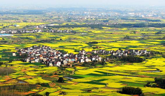 南京哪个区离新街口近,南京南边有哪几个区