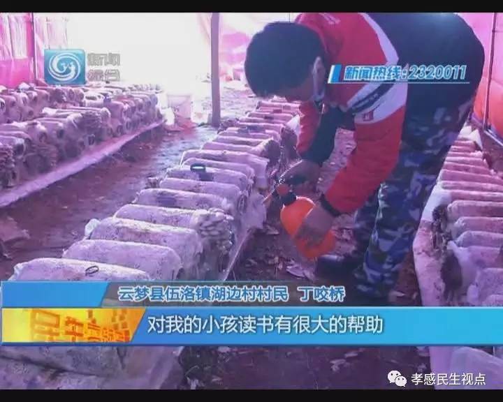 看看大叔是怎么逆袭的,小伙农村脱贫致富成长记