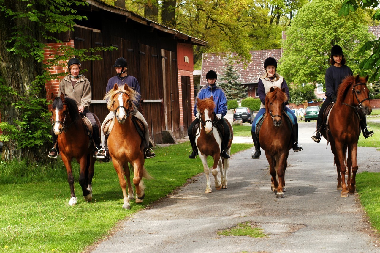 绿穹之下，感受德国中部的另一种美