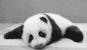 不用姨妈巾的神器,不用姨妈巾用什么好