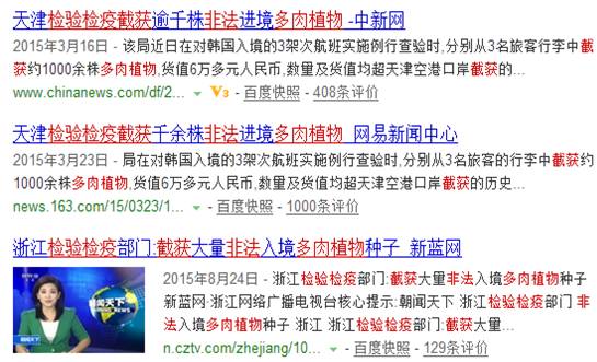 进口块根多肉植物,进口多肉植物哪里进货