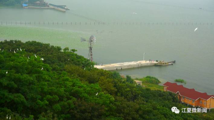 江夏有哪些地方,江夏是今天的什么地方