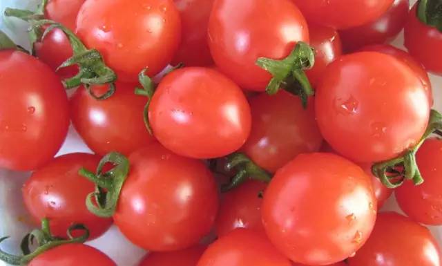 为什么现在水果味道越来越淡,为什么现在水果品种越来越多