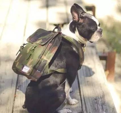 有态度|谁说双肩包就是年轻人的专利,明明是谁背谁都美啊!