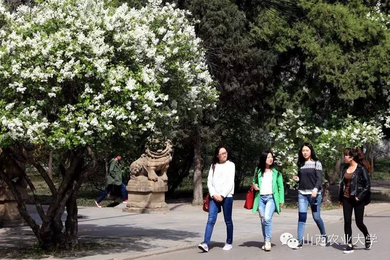 三个月后，这个故事将迎来大结局