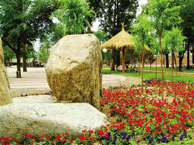 「献礼70」最爱那抹绿：美丽青城展画卷绿水青山带笑颜