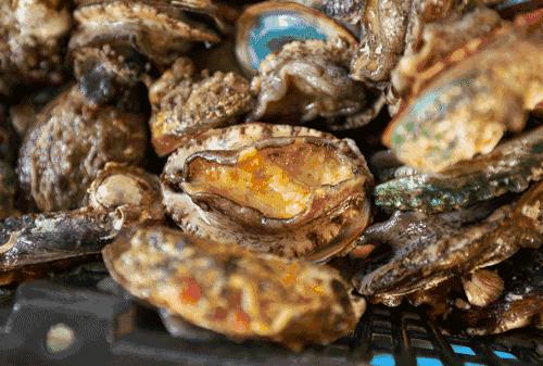 大连海洋馆搬运动物,大连海鲜搬运工