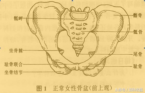 产后骨盆和正常骨盆的区别,骨盆测量有意义吗