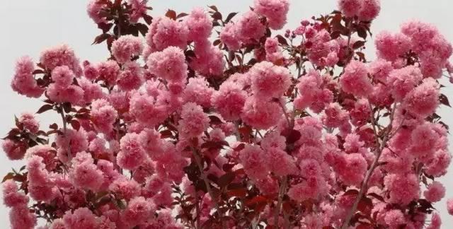 吃鲟鱼、泡温泉、赏美景、玩陶艺···完美周末就这么简单！