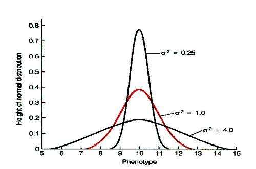 最新数据分析方法有哪几种,数据分析有哪些分析方法