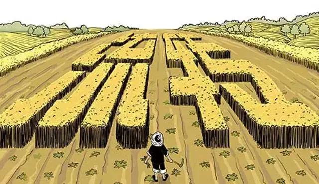 土地流转正面案例,土地流转最好项目