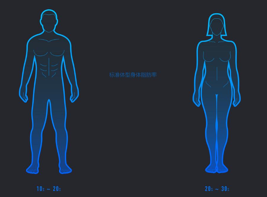 体脂秤和体重秤的区别,体重秤和体脂秤有什么区别