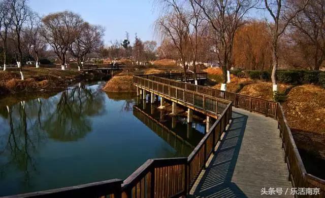 南京免费公园免费开放日一览表,南京最大的公园排名