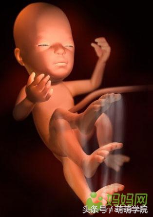 胎儿发育40周全过程b超影像,胎儿1-40周发育过程图高清