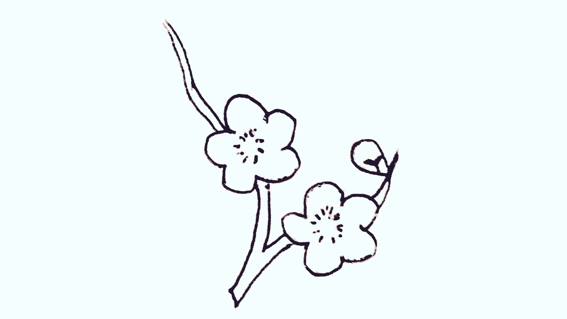 梅花13简笔画简单又漂亮迷你版,梅花画法简笔画