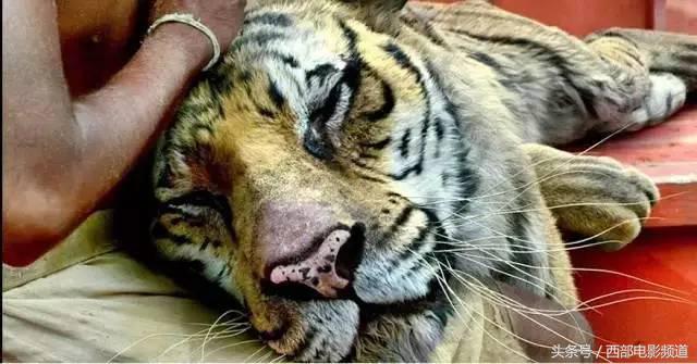 深扒影视圈背后你不知道的*规则潜**,离开特效的爱豆们还好吗?