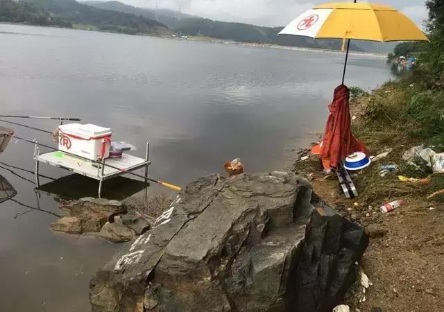 如何选择钓竿钓鱼,钓鱼新手适合用什么钓竿