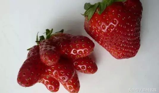 网传“激素草莓”的说法靠谱吗？事实超乎你的想象！