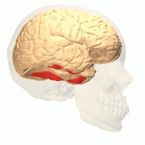 有脸盲症怎么治疗,怎么治愈脸盲症