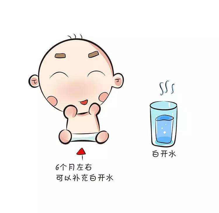 宝宝6个月内绝对不能喝水,为什么六个月以内的宝宝不让喝水