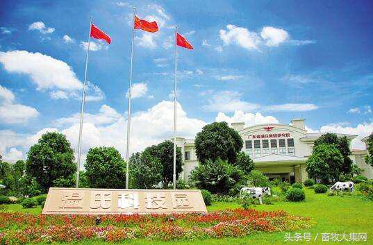 温氏养猪未来前景,公司农户养殖模式