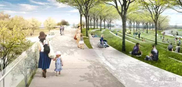 柳江区新规划项目,柳江体育公园什么时候开建