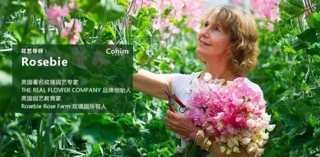 花艺行业如何借力发展,花艺行业发展现状