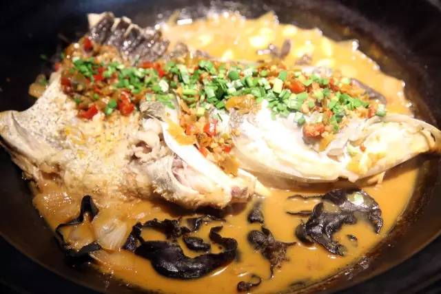 娱乐节最新节目,娱人节是什么意思