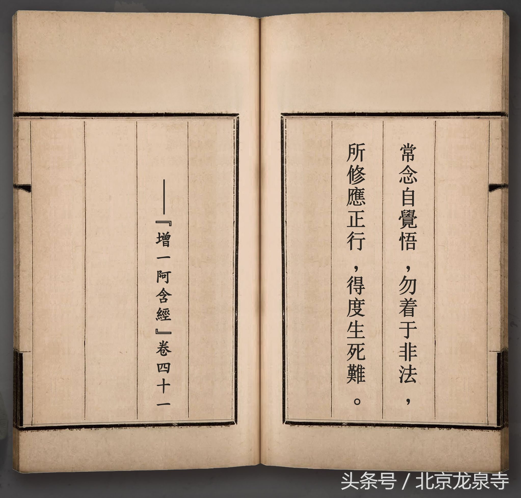 佛法和人性,佛法人类命运共同体