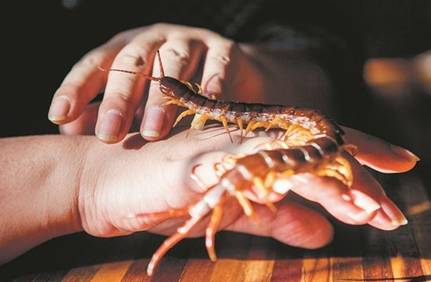 胡说中医基础理论29,胡说中医要点笔记