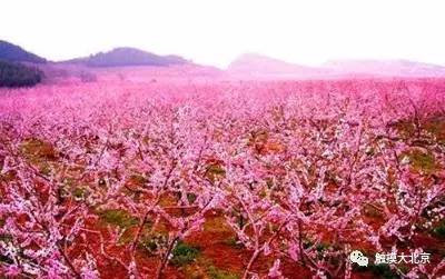 4月整整11天假！瓷器们，这些好消息请查收！