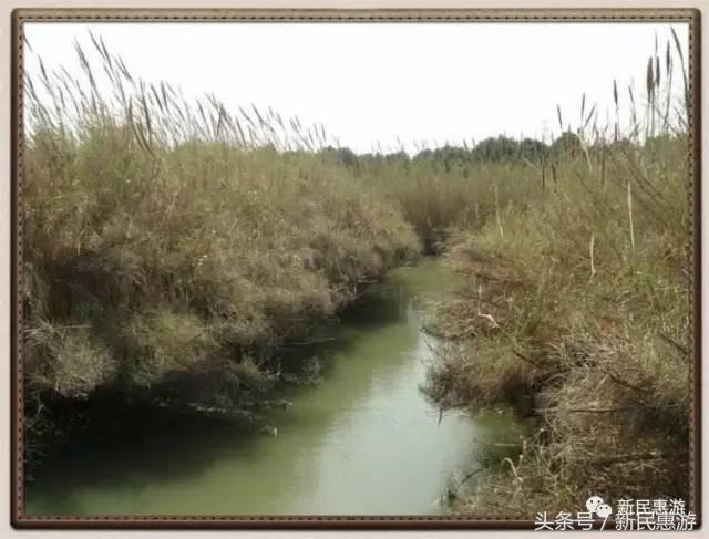 沙家浜，竹林幽径渔翁垂钓芦荡涛声